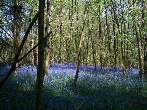 North Hill Farm Bed and Breakfast Rickmansworth Εξωτερικό φωτογραφία